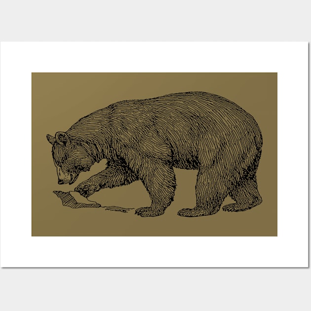 Mountain Bear Black Line Illustration Wall Art by taiche